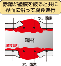 赤錆が塗膜を破ると共に界面に沿って腐食進行